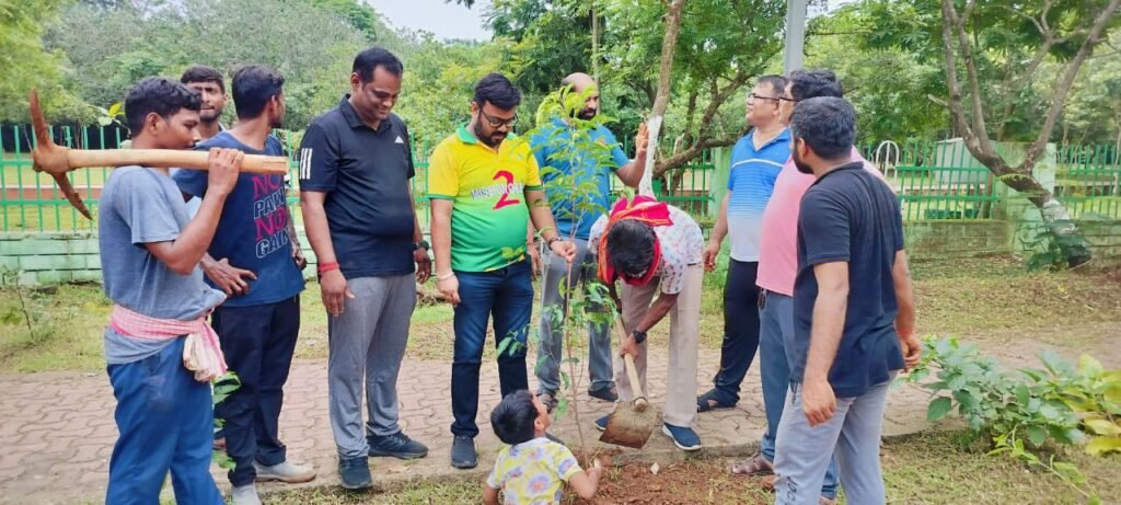 Tree Plantation