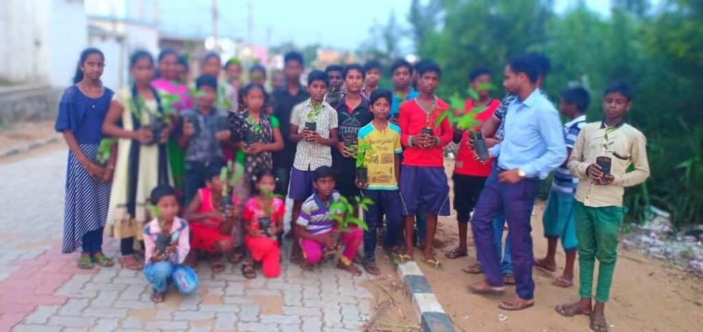 Tree Plantation