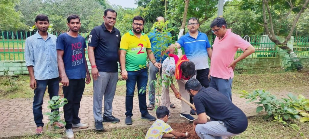 Tree Plantation