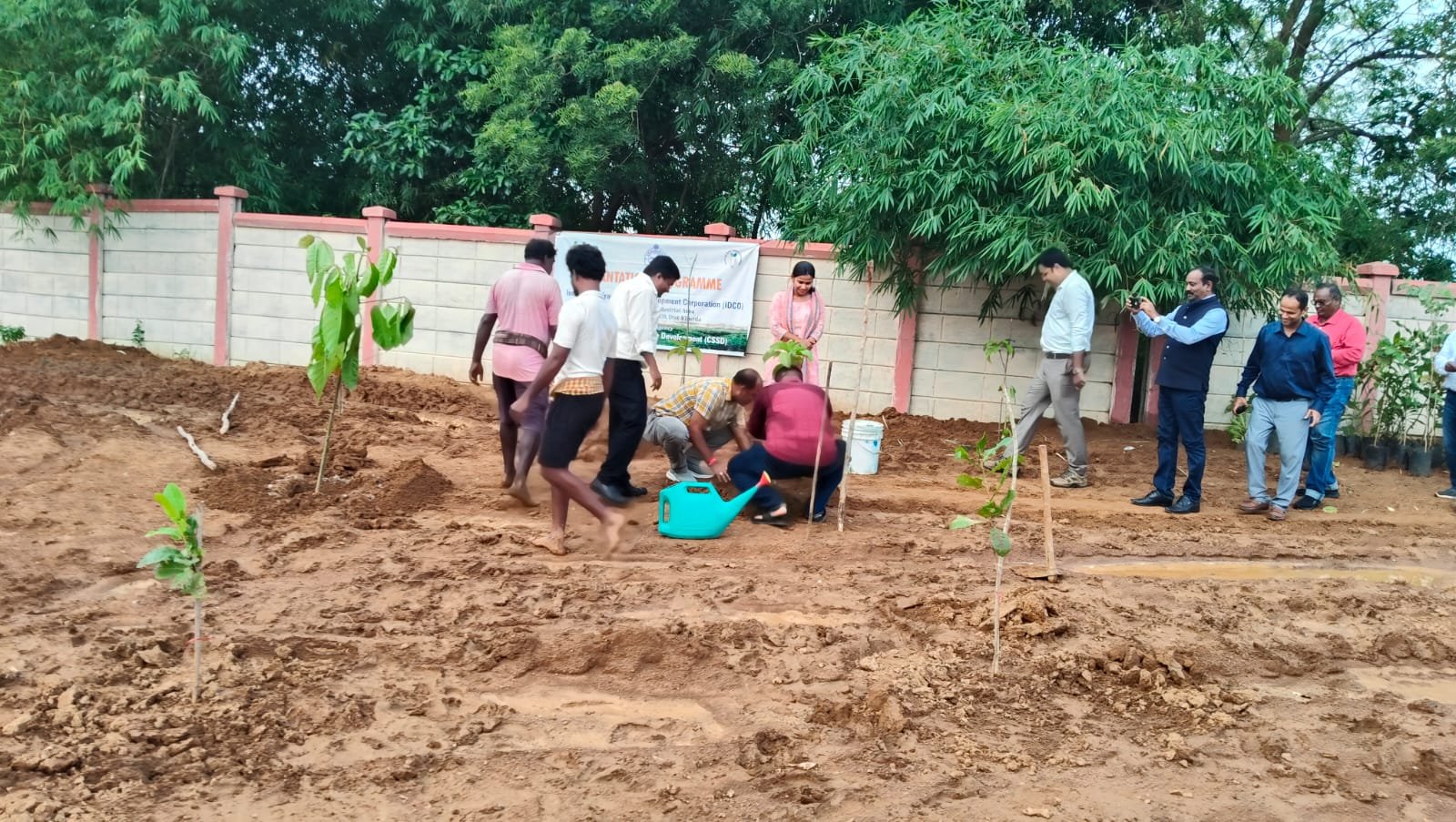 Tree Plantation