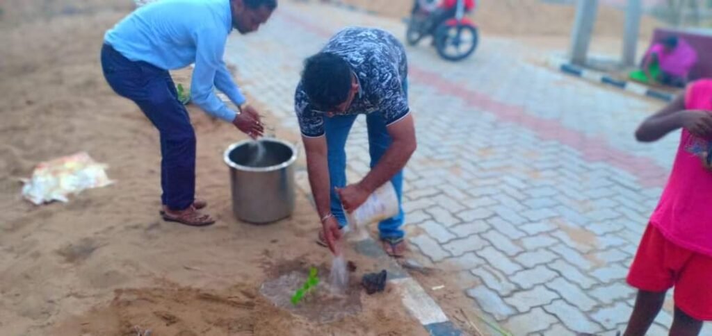 Tree Plantation