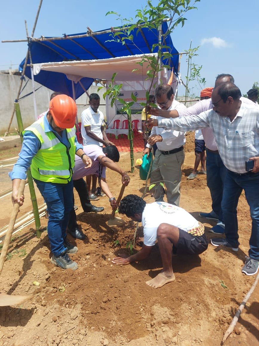 Tree Plantation
